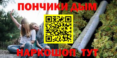дурь Гай