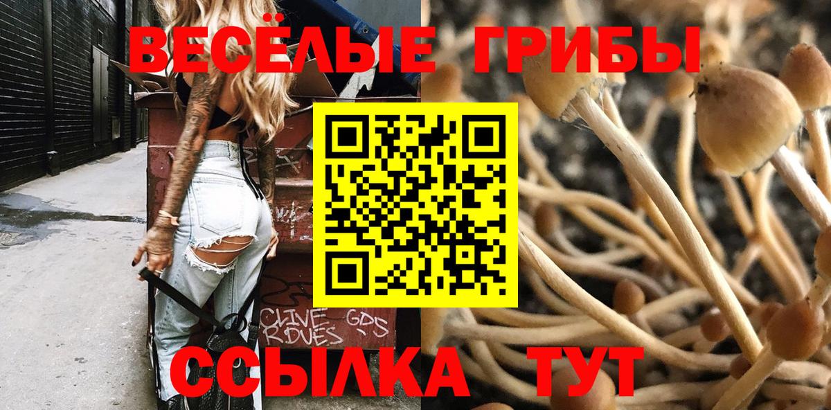 Псилоцибиновые грибы MAGIC MUSHROOMS  Вход с VPN  закладки  Дзержинск 